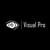 Visual Pro production Logotype