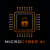 Micro Cyber Logotype
