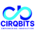 Cirqbits Technology Solutions Pvt Ltd Logo
