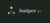 Juniper AI Consulting Logotype