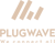 PLUGWAVE Logotype