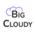 BigCloudy Internt Services Pvt Ltd Logo