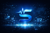 SignalEDI Inc Logo