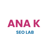 AnaK SEO Lab Logotype