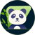 WebxPanda Logotype