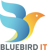Bluebird IT Logotype
