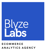 Blyze Labs Logotype