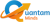 Quantamminds Logotype