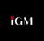IGM Professional Logotype
