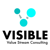 Visible Flow Consulting Logo