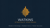 Watkins Strategic Partners Logo