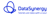 DataSynergy Logotype