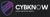 Cybknow Technologies PVT LTD Logo