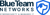 Blueteam Networks, LLC Logotype