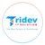 Tridev IT Solution Pvt. Ltd. Logotype