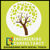DS Consultancy Services Logotype