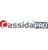 Cassida Pro Logotype