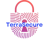 TerraSecure Logo