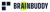 Brain Buddy AI Logo