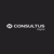 Consultus Digital Logotype