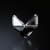 FOXXY Logo