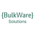 BulkWare Solutions SL Logotype