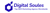 Digital Soules Logo