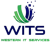 WITS Western Information Technology Services LLC Logotype