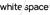 White Space Agency Logo