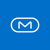 MESH Logotype