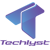 Techlyst LLC Logotype