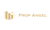 Prop Angel Real Estate Agency in Mira Road Logotype