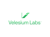 Velesium Labs Logotype