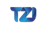 Techzarinfo Logotype