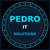 PEDRO IT SOLUTIONS, LLC Logotype