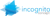 Incognito Concept SRL Logotype
