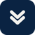 DOWN SOUTH SYSTEMS LLC Logotype