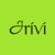 Arivi Logotype