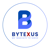 Bytexus Software Solution Pvt. Ltd. Logotype