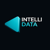 Intellidata Logotype