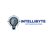 Intellibyte Software Solutions LLC Logotype