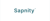 Sapnity LLP Logotype
