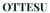 OTTESU Logotype