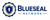 Blueseal Network Logotype