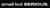Small But Serious Logo