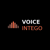 Voiceintego Logo