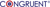 CONGRUENT SOLUTIONS Logo
