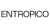 Entropico Logotype