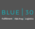 Blue30 Logotype