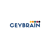 Ceybrain Logotype